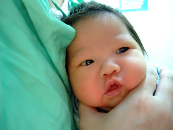 DSCF8773.jpg