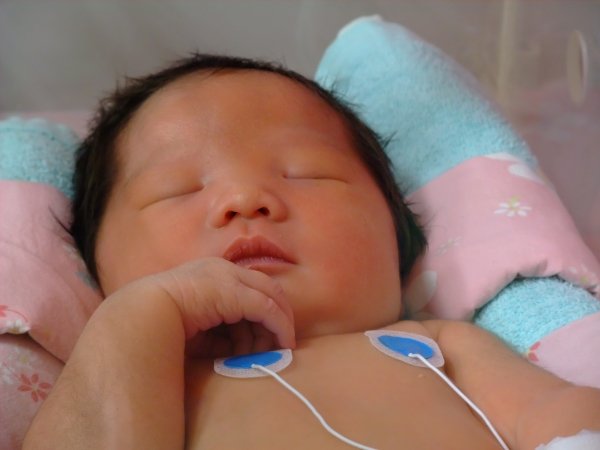 DSCF8566.jpg