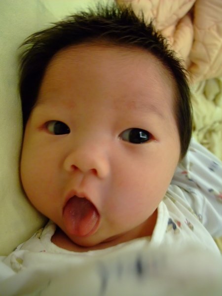 DSCF9080.jpg