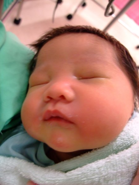 DSCF8731.jpg