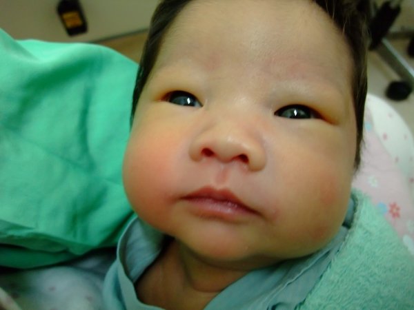 DSCF8801.jpg