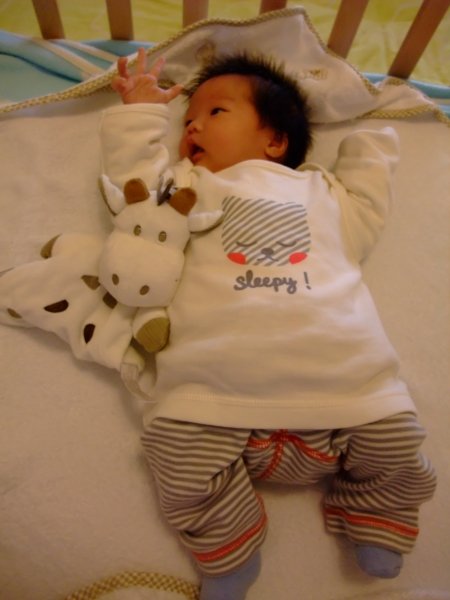 DSCF9231.jpg
