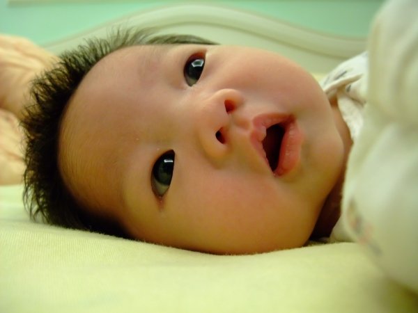 DSCF9091.jpg