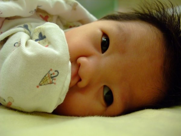 DSCF9053.jpg