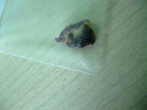 DSCF8872.jpg
