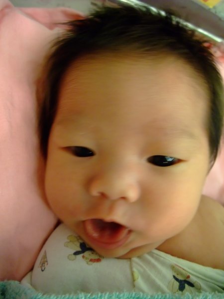 DSCF8974.jpg