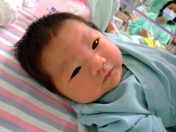 DSCF8719.jpg