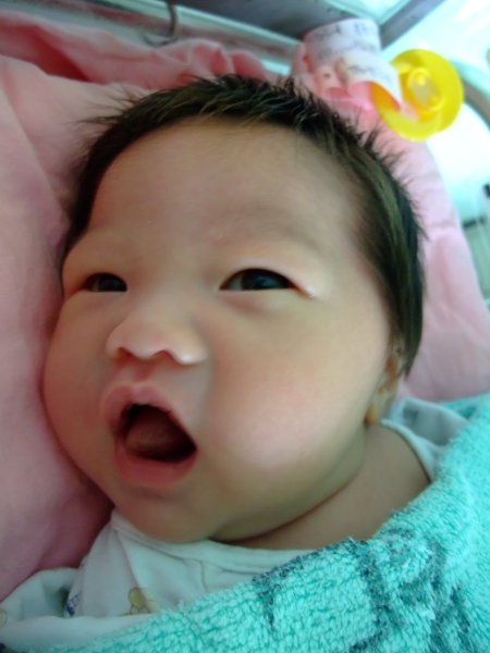 DSCF8955.jpg