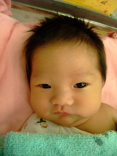 DSCF8963.jpg