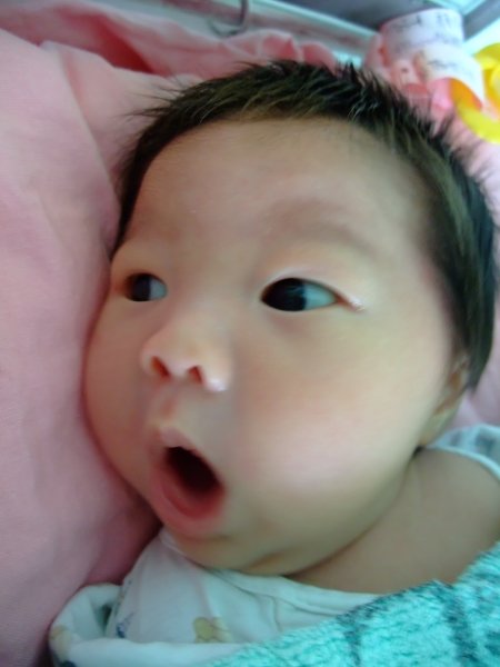 DSCF8958.jpg