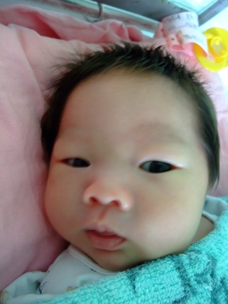 DSCF8959.jpg