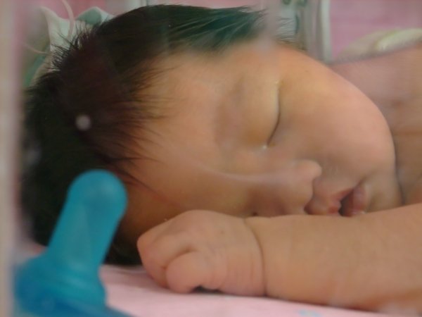 DSCF8581.jpg