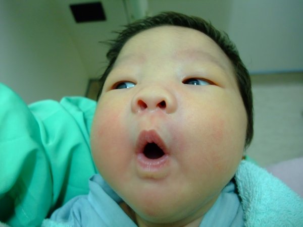 DSCF8807.jpg