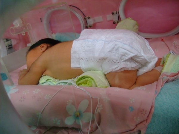 DSCF8582.jpg