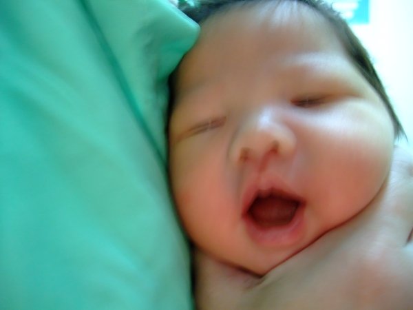 DSCF8775.jpg