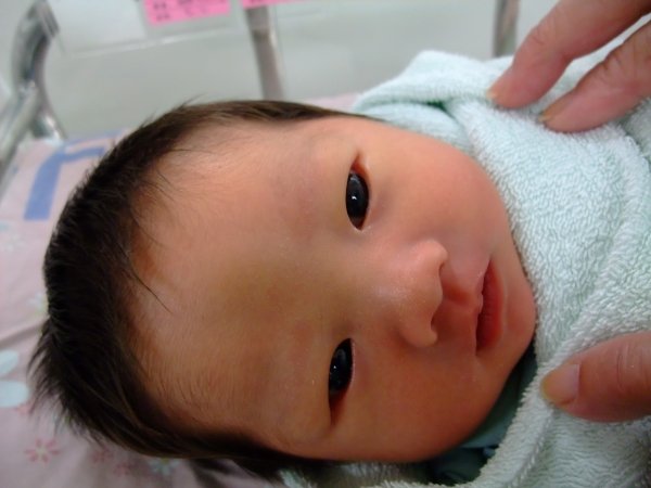 DSCF8682.jpg