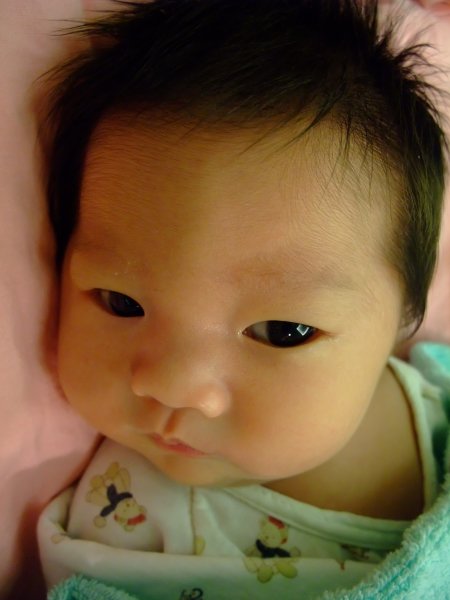 DSCF9001.jpg