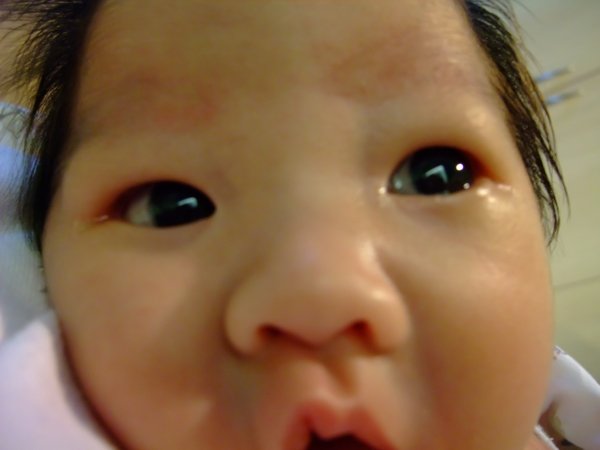 DSCF9027.jpg
