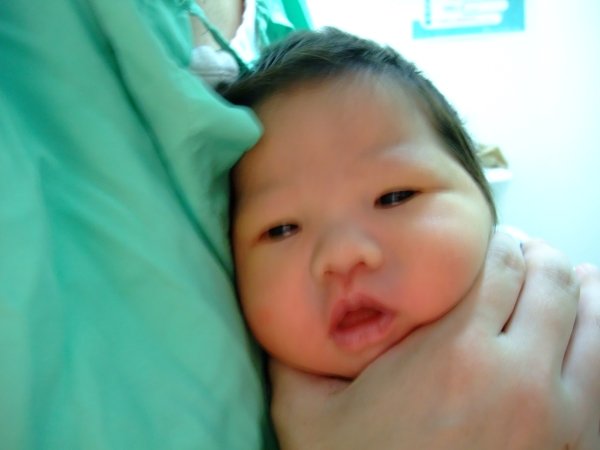 DSCF8774.jpg