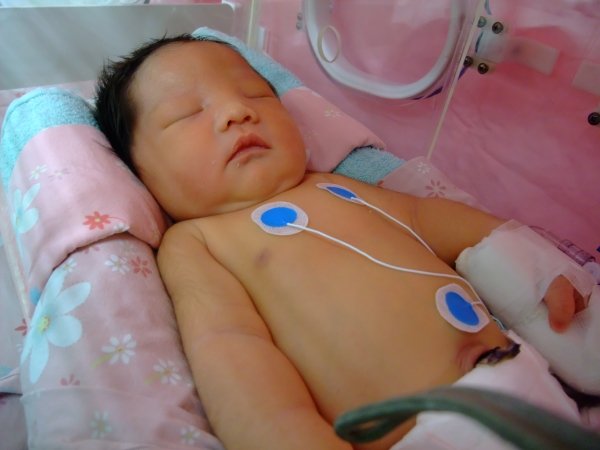 DSCF8555.jpg