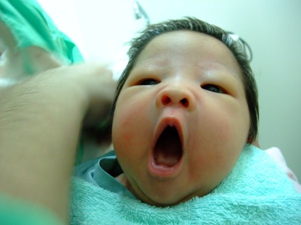 DSCF8817.jpg