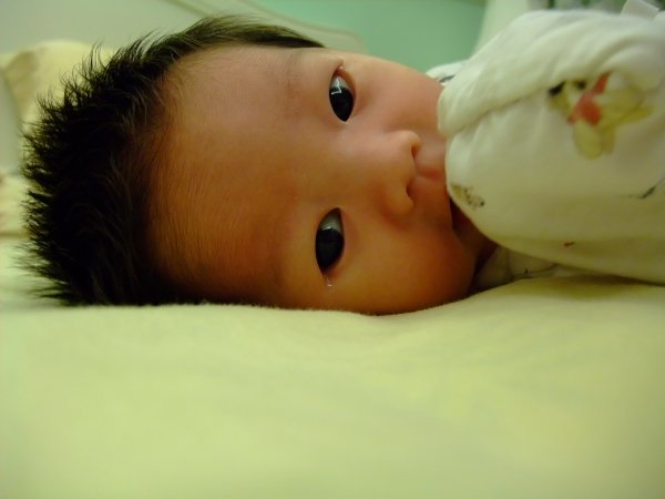 DSCF9089.jpg