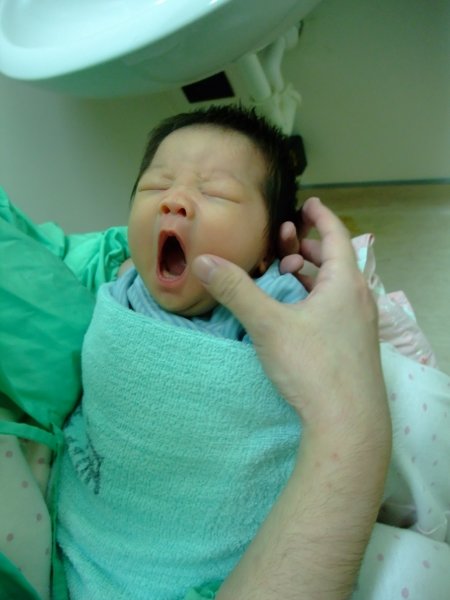 DSCF8877.jpg