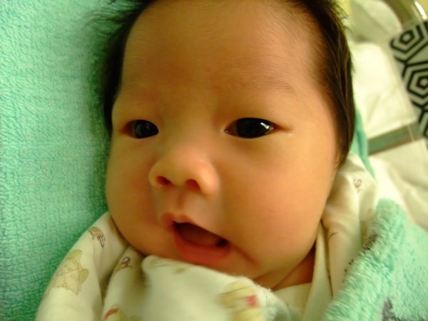 DSCF9020.jpg