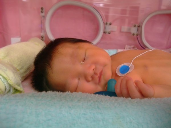 DSCF8613.jpg
