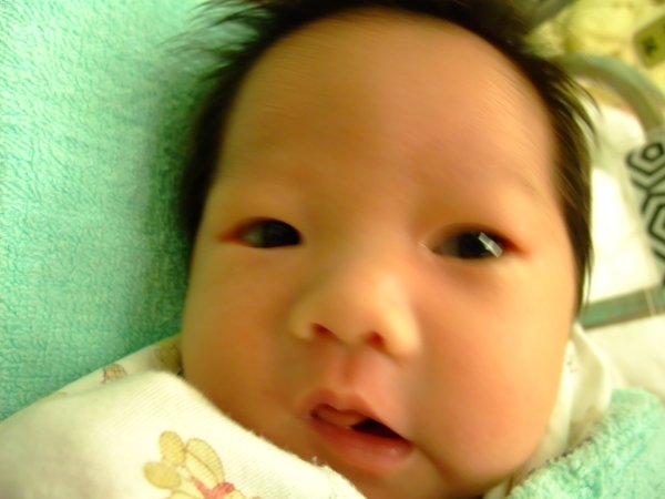 DSCF9023.jpg