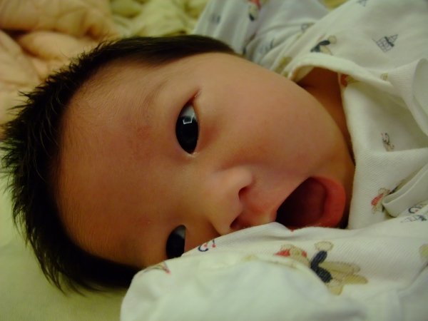 DSCF9081.jpg