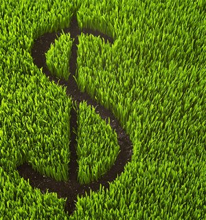 Economics_Green-Grass_300x320.jpg