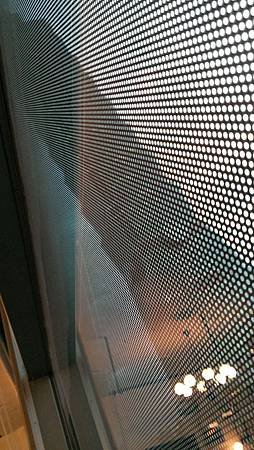 IMAG1831