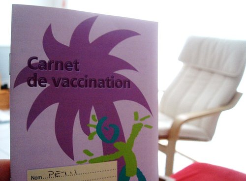 carnet de vaccination.JPG