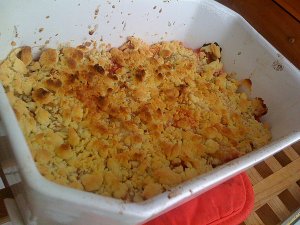 IMG_0534[1].JPG
