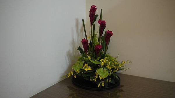 P1120384.JPG