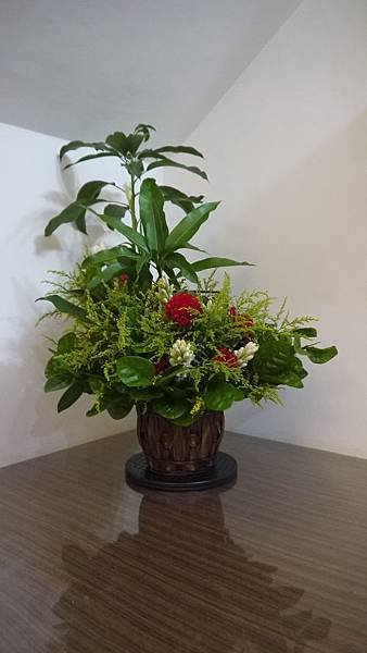 P1130582_調整大小.JPG