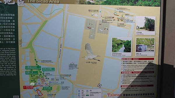 P1190053.JPG
