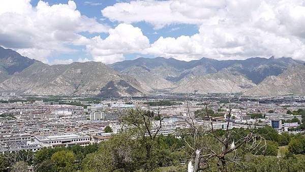 P1140785.JPG