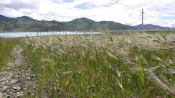 P1150355.JPG