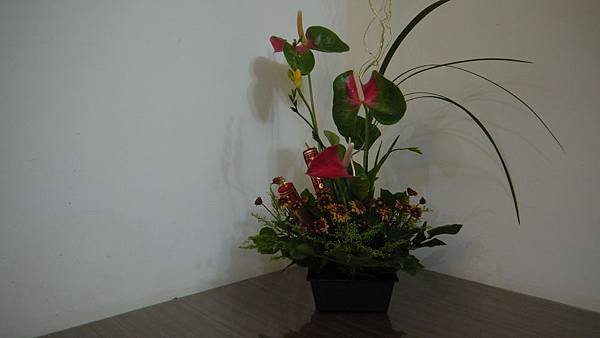 P1000028.JPG