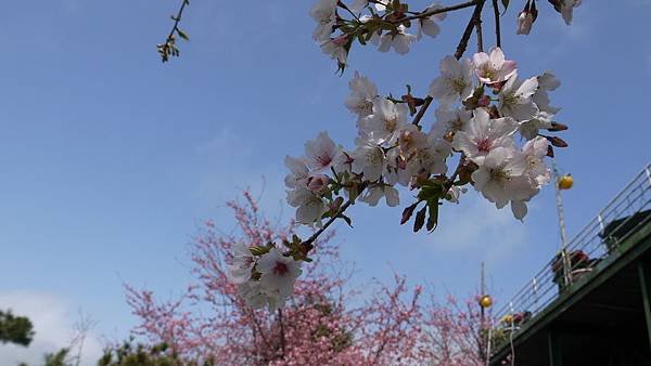 P1000281.JPG