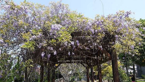 P1000062.JPG