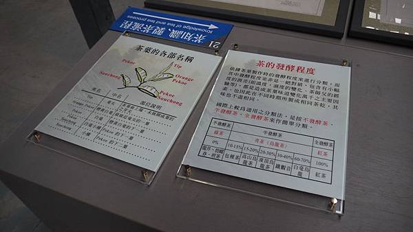 P1000379.JPG