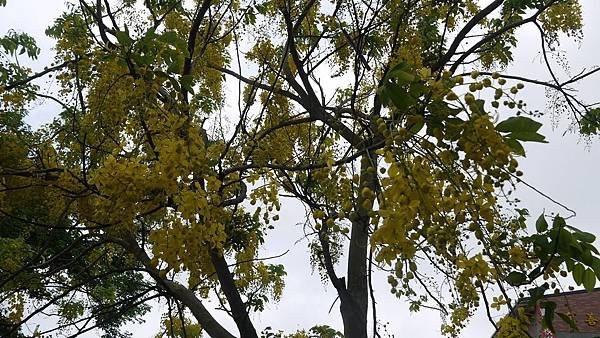 P1000062.JPG