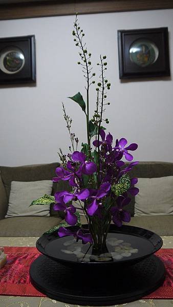 P1040243.JPG