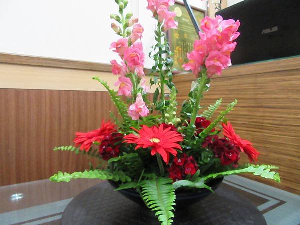 IMG_0080.JPG