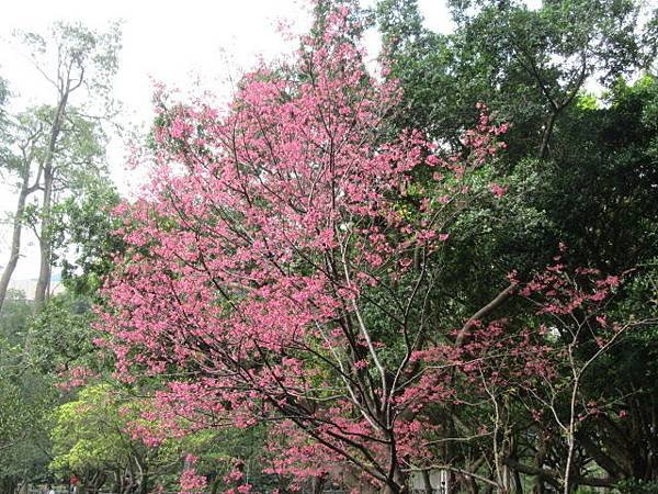 IMG_0126.JPG