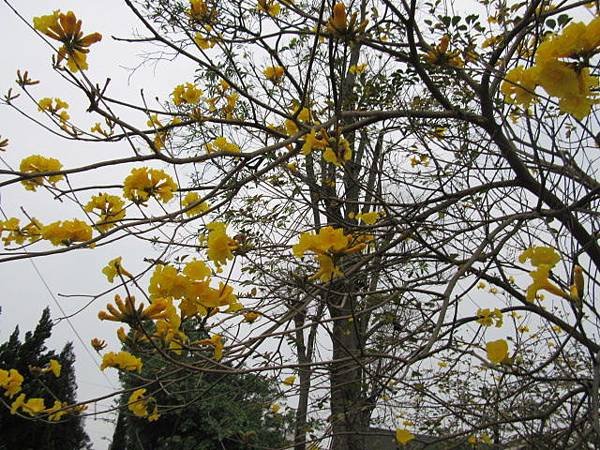 IMG_0019.JPG