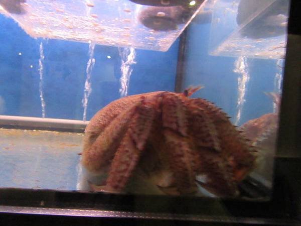 IMG_0082.JPG